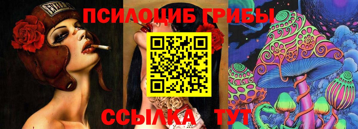 закладки  Вход с VPN  Галлюциногенные грибы Psilocybine cubensis  Янаул  Псилоцибиновые грибы Cubensis 