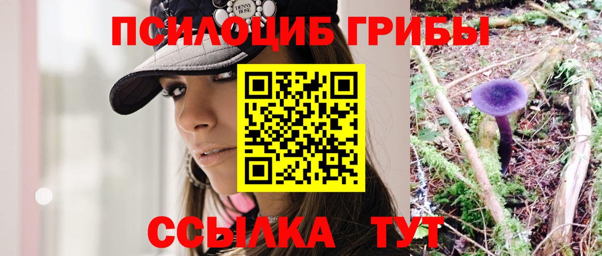 Псилоцибиновые грибы мицелий Янаул